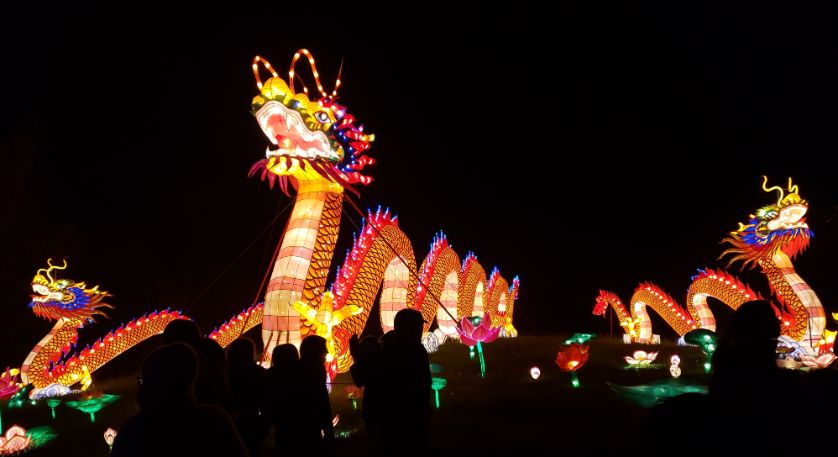 Image of a Traditional Dragon Dance at Tet celebrations in Hoi An, Vietnam