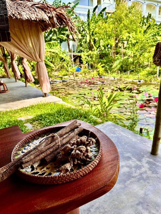 Relaxing spa pampering day in Hoi An, Vietnam with soothing treatments and tranquil ambiance.